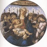 Sandro Botticelli Madonna and Child with eight Angels or Raczinskj Tondo (mk36) Germany oil painting artist
